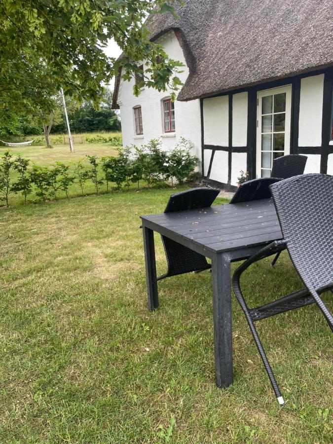 Baekgaarden 3 Rooms Apartment - Old Farm House Odense Exterior foto