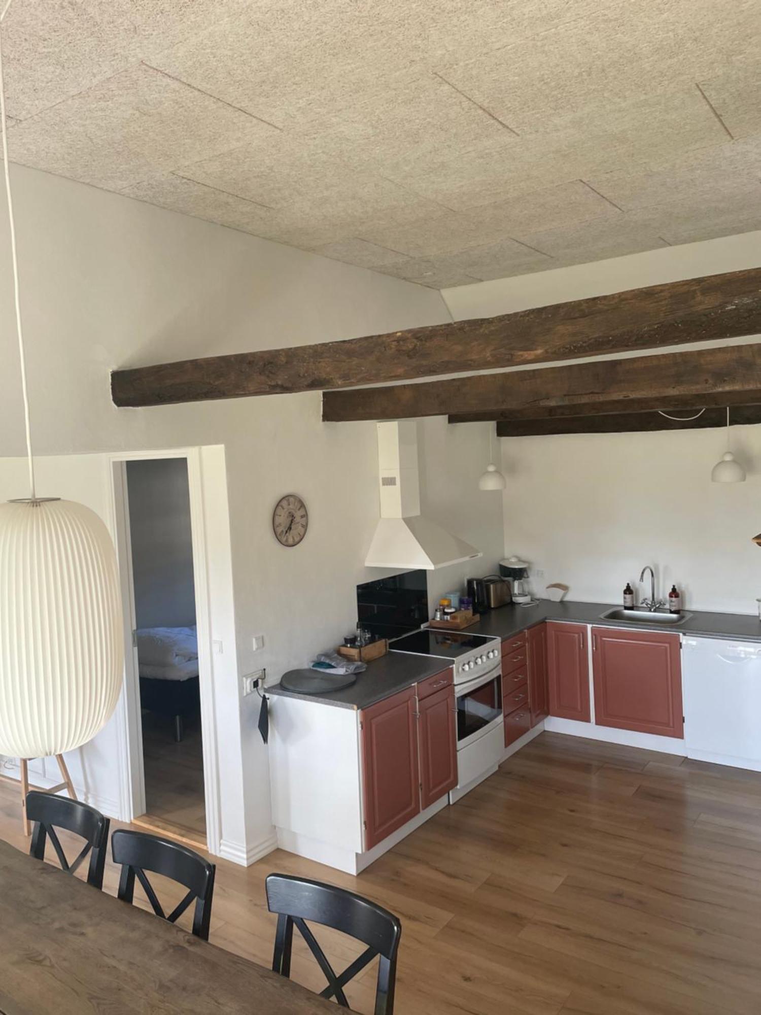 Baekgaarden 3 Rooms Apartment - Old Farm House Odense Exterior foto